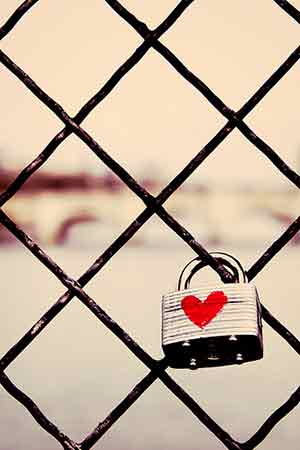 Parisian Love Lock