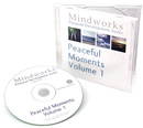 Insomnia Cure CD