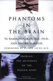 Phantoms in the Brain